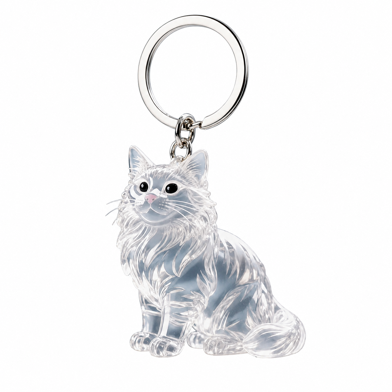Transparent fluffy cat keepsake keychain
